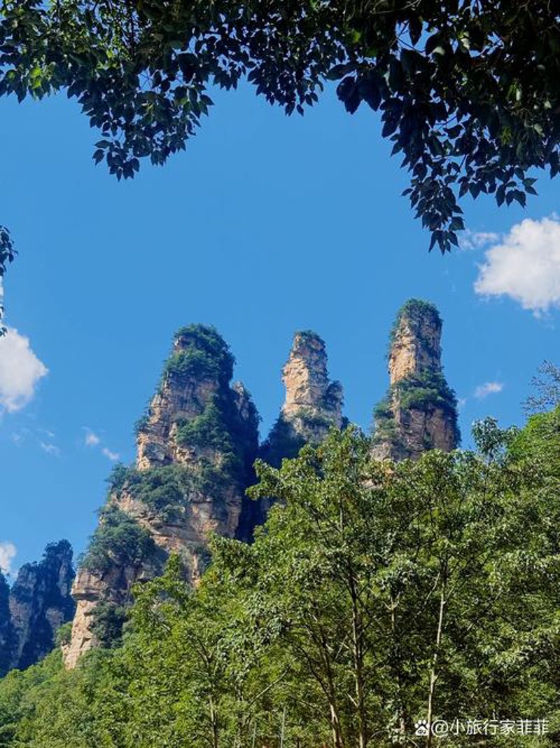 跟着旅行社探索张家界——自然与人文交织的美丽画卷