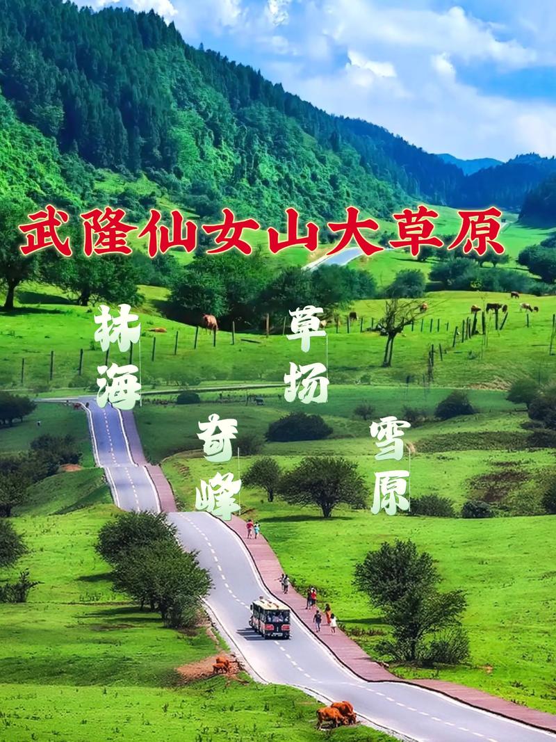 走进张家界：感受世界自然遗产的原始美